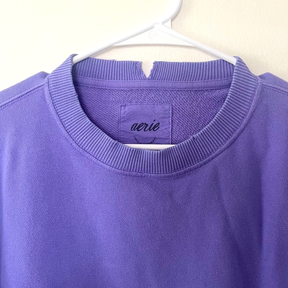 Aerie The Chill Cozy Crew Oversized Sweatshirt